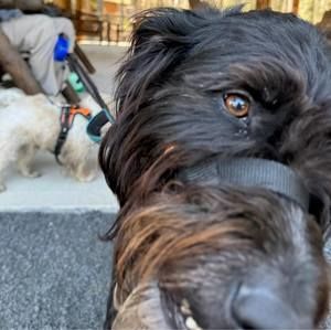 Meet your Posher, Marikay